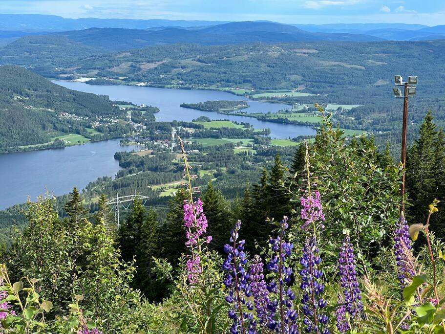 « Sofly Cottage », Le Charme Pur Noresund Buitenkant foto