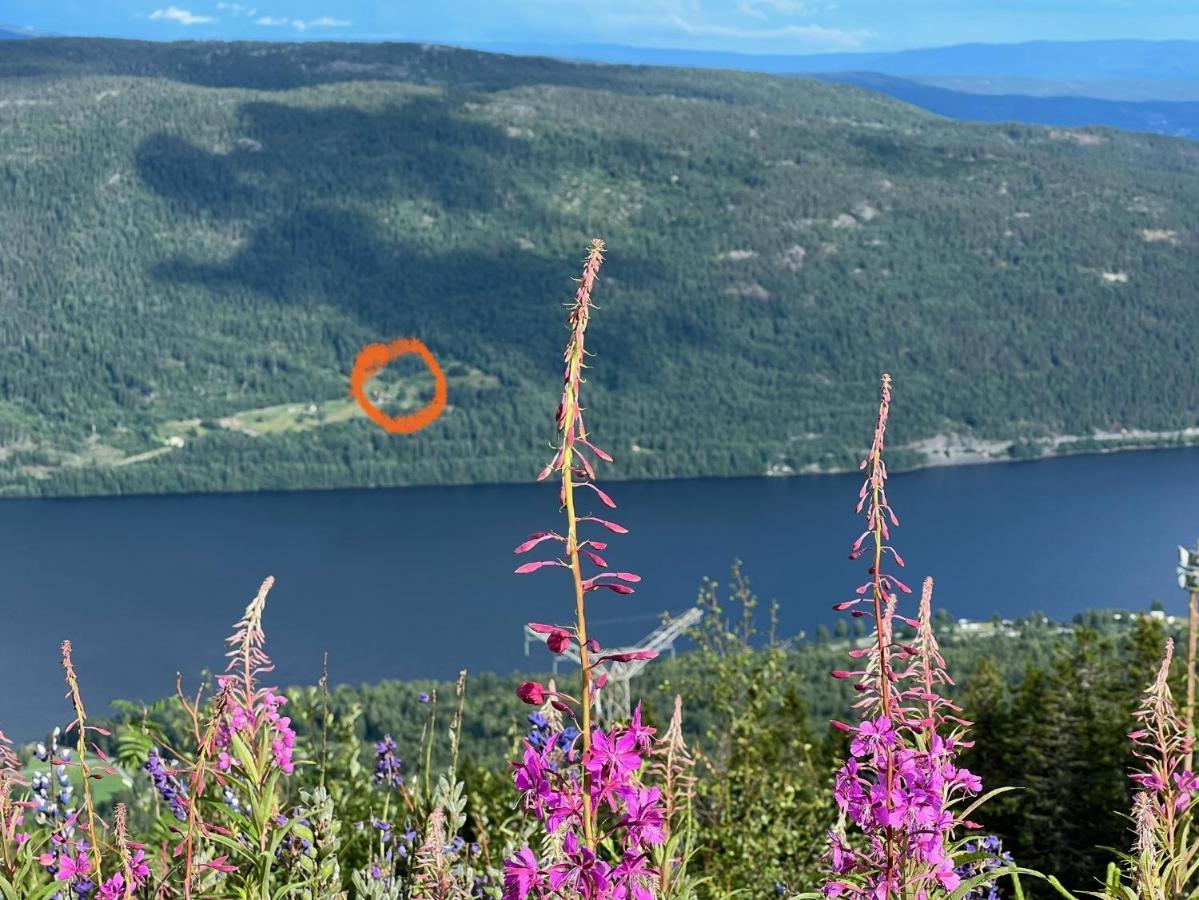 « Sofly Cottage », Le Charme Pur Noresund Buitenkant foto
